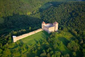 Eine Luftaufnahme einer Burg mitten in einem Wald in der Unterkunft MIDORI in Saint-Rambert-en-Bugey