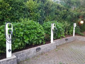 a row of security gates in front of bushes at Albergo Paradiso in Maccagno Superiore