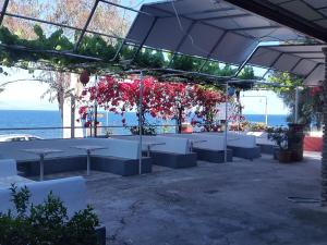 Gallery image of faliraki apartments in Benitses