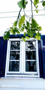 2 fenêtres sur une maison avec portes bleues dans l'établissement Samia Seavilla Pythagorio, à Pythagoreio