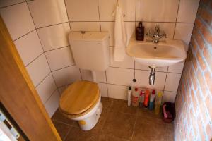 Kúpeľňa v ubytovaní Vila Trnoružica + 37 fotografií