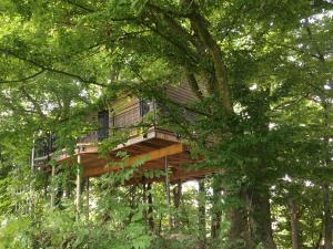 uma casa na árvore no meio de uma floresta em Baumhaus auf dem Kellerberg em Fischach