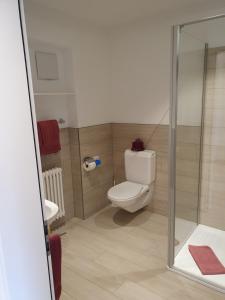 a bathroom with a toilet and a shower at Hotel Zarera in Poschiavo