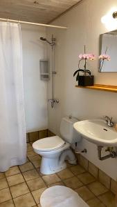 bagno con servizi igienici e lavandino di Hyggelig lille lejlighed a Ebeltoft