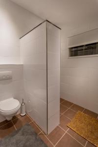 een badkamer met een toilet en een glazen douchecabine bij Aan de Holle Weg. Zeer landelijk gelegen verbouwde stal tot woning in Nuth