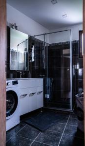 łazienka z pralką i prysznicem w obiekcie House Nr. 10 w Hévízie
