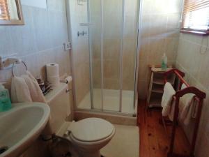W łazience znajduje się prysznic, toaleta i umywalka. w obiekcie A Swallows Rest w mieście Kareedouw