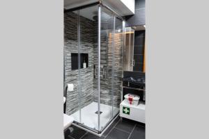 a bathroom with a shower with a toilet and a sink at Casa Largo S Lourenço e Casa da Videira in Mazes +30 photos
