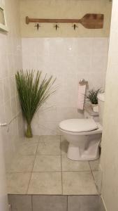 baño con aseo y planta en La mémée du Saillant, en Voutezac