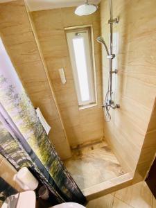 a bathroom with a shower and a sink at Pensiune Muntii Aninei in Anina