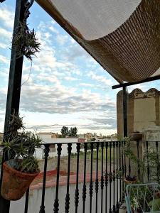 a balcony with potted plants on a fence at Can Ventura in Deltebre