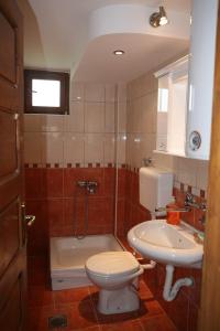 un baño con inodoro y lavabo en Vila Milija, en Bajina Bašta
