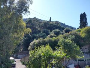 Gallery image of faliraki apartments in Benitses