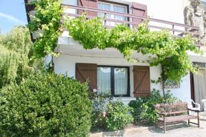 Zahrada ubytování Caserio en Zona Rural Istilla