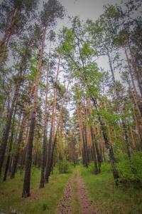 Billede fra billedgalleriet på Hotel Nurlytau i Borovoje