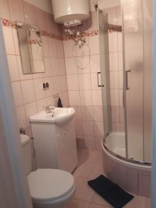 y baño con aseo, lavabo y ducha. en Mieszkanie przy Westerplatte, en Giżycko