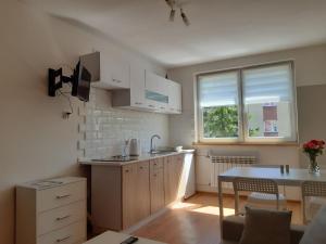 Kuchyň nebo kuchyňský kout v ubytování Mieszkanie przy Westerplatte