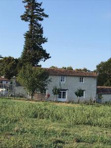 uma grande casa branca com uma árvore em frente em le Logis du Plessis em Chaniers