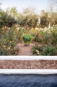 un jardín con plantas y flores en un patio en The Grand Marigold, en McGregor