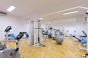 Fitness centrum a/nebo fitness zařízení v ubytování Hotel Epario