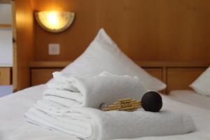 Cama o camas de una habitación en Hotel Aurora
