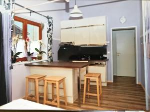 Kuchyň nebo kuchyňský kout v ubytování Appartment Lukasser
