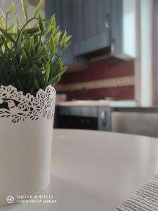 a plant in a white vase sitting on a table at Dante's Relais in Florence