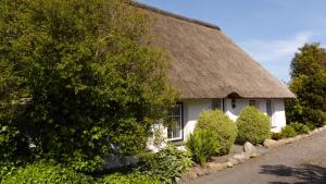 a cottage with a thatched roof and bushes at Refugium im Nordseewind in Norddeich