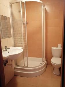 uma casa de banho com um chuveiro, um lavatório e um WC. em Pensjonat Telimena em Zwierzyniec