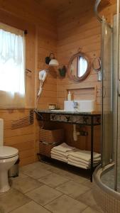 a bathroom with a toilet and a sink and a mirror at Tajgołka in Murzasichle +49 photos