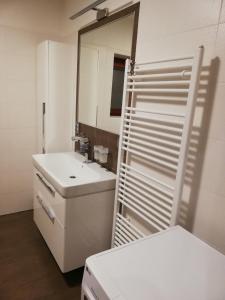Dolany的住宿－Apartmán u Kartouzky，浴室设有白色水槽和镜子