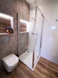 een badkamer met een douche en een toilet bij Walowa Tower Apartments in Gdańsk
