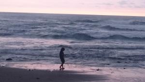 Gallery image of Villa Aamoda in Canggu