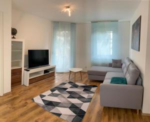 a living room with a couch and a television at Apartment Saxonia in Pirna