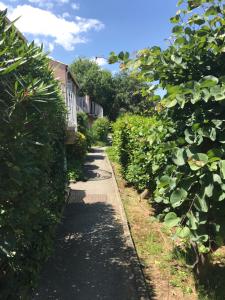 コゴランにあるStudio climatisé piscine parking - Prix du Voyageur 2023 et 2024 ! Merciの茂みや木々が茂る庭園を通る小道