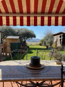 Zahrada ubytování B&B Dora e Flavio Country Rooms