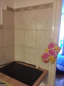 Fotografie z fotogalerie ubytování Lellei vízparti apartman homokos strandnál v destinaci Balatonlelle + 16 fotografií