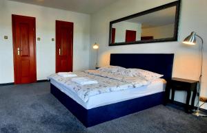 sypialnia z łóżkiem z lustrem na ścianie w obiekcie Apartamenty Sienkiewicza10 w mieście Łomża