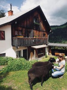 una mujer acariciando dos ovejas delante de un edificio en Zauneralm, en Aich