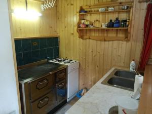 a small kitchen with a stove and a sink at Brunarica na Goreljeku in Bohinj