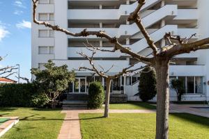 A garden outside INMUEBLE DE CATEGORIA. Wifi FREE