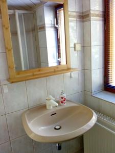 lavabo blanco en el baño con espejo en Sonnenblume, en Heidesee