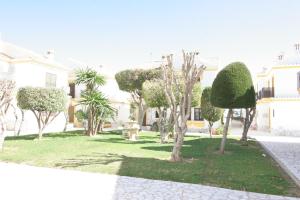 Fotografie z fotogalerie ubytování Veranea Apartments v destinaci Vera