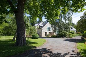 une maison blanche avec un arbre et une allée dans l'établissement Rive Gauche - Chambres d'hôtes en bord d'Authion, à Mazé