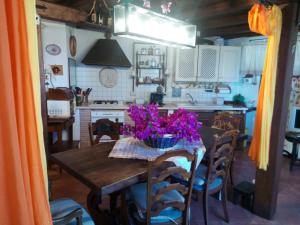 サン・フェリーチェ・チルチェーオにあるCirceo Lovelyのキッチン(紫の花が咲く木製テーブル付)