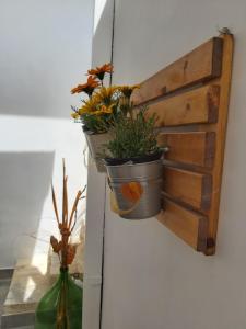 Fotografie z fotogalerie ubytování B&b Passione del sud v destinaci Lecce