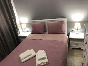 巴尼亚科维利亚查Apartman Jezdić 2的一间带大床和两个床头柜的卧室