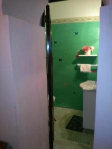 baño con pared verde y aseo en Casamuseo del Risorgimento, en Lungro