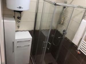 Apartman Jezdić 2的一间浴室