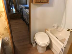 a bathroom with a toilet and a bath tub at Grandview Cabins & RV Resort in South Fork